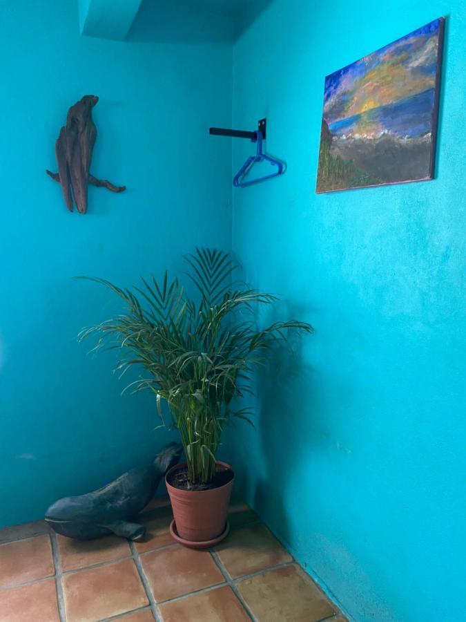 El Centenario Casa Xochitl B&B 외부 사진