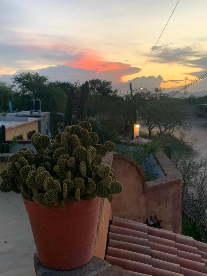 El Centenario Casa Xochitl B&B 외부 사진
